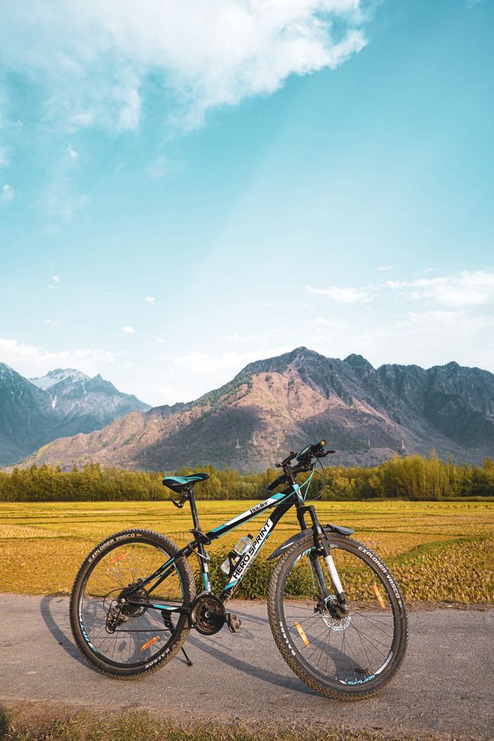 A mountain bike parked on a road with stunning mountains in the background.